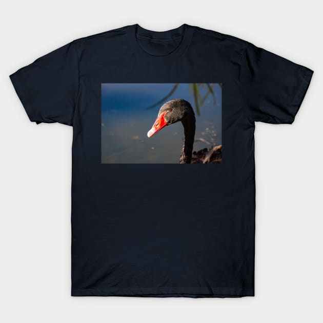 Head and neck of Black swan. T-Shirt by sma1050